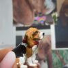 BEAGLE (fait à partir d'une photo) 5 cm