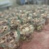 FROMAGE DE TETE