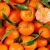 CLEMENTINE (novembre, décembre et janvier uniquement)
