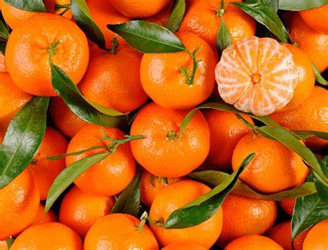 CLEMENTINE (novembre, décembre et janvier uniquement)
